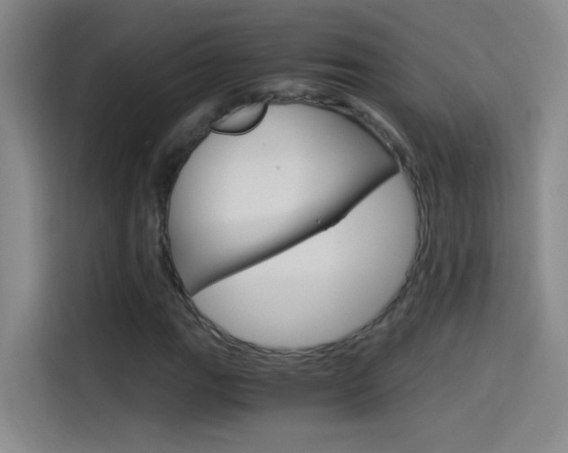 X0000114541111200910190926