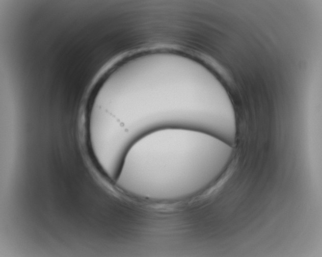 X0000114541126200910190926
