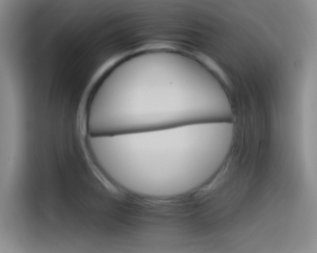 X0000114541127200910190926