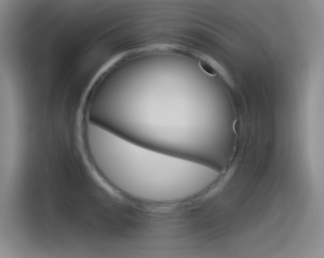X0000114541134200910190926