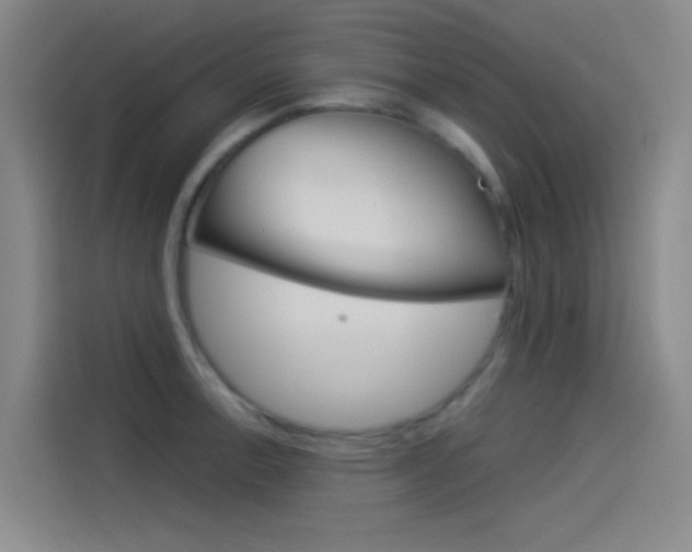 X0000114541138200910190926
