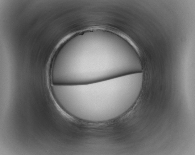 X0000114541143200910190926