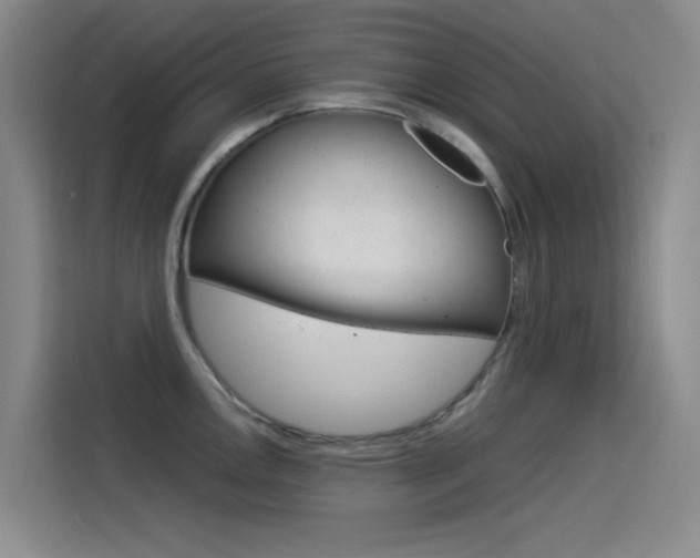 X0000114541146200910190926