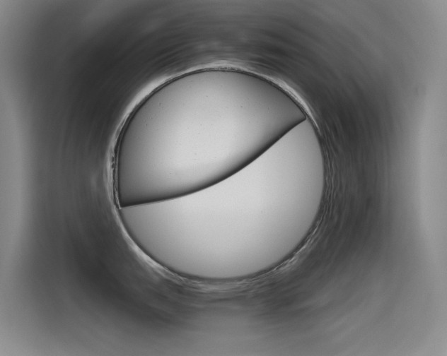 X0000114541151200910190926