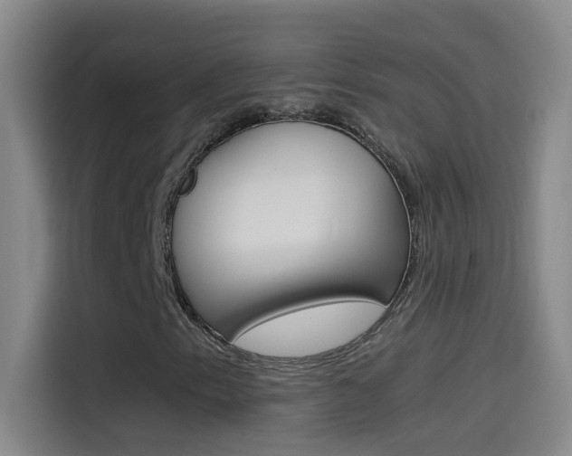 X0000114541153200910190925