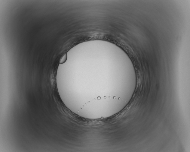 X0000114541154200910190925