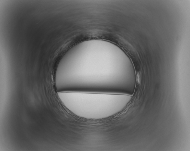 X0000114541155200910190925