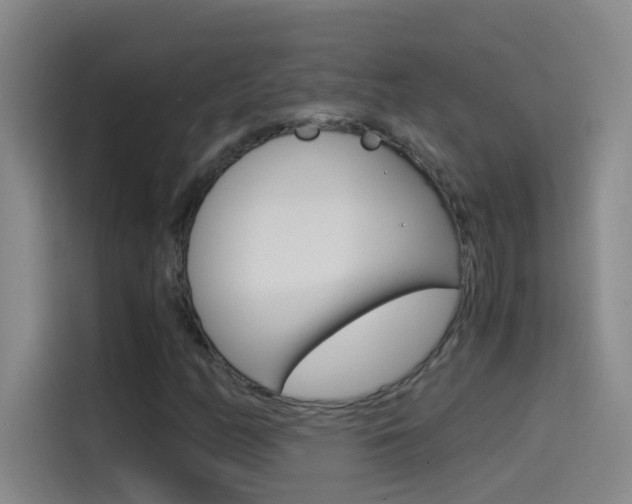 X0000114541158200910190925