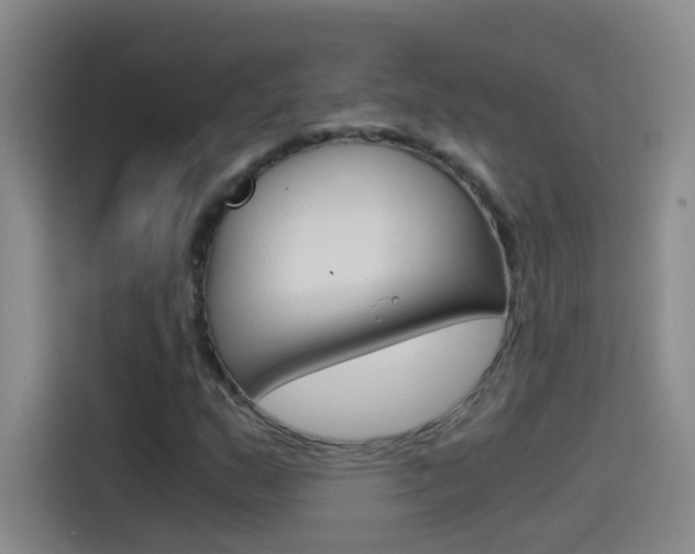 X0000114541159200910190925