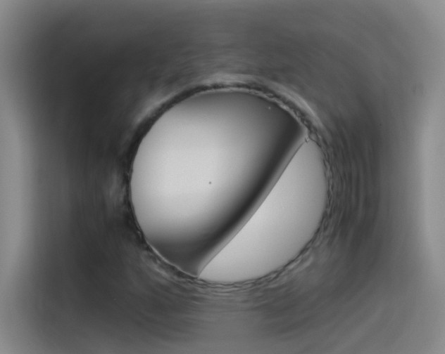 X0000114541160200910190925