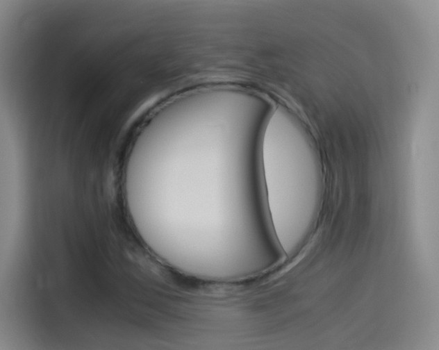X0000114541163200910190925