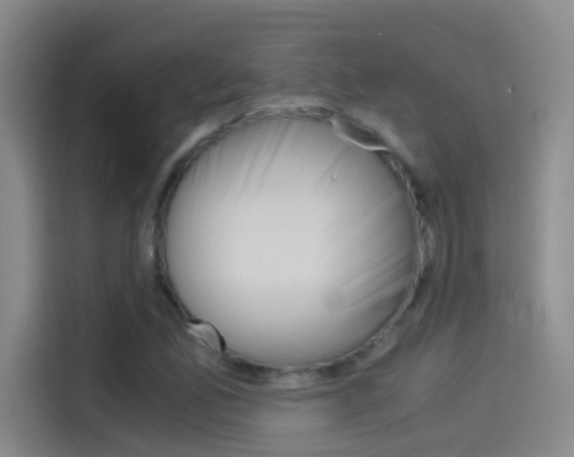 X0000114541165200910190925