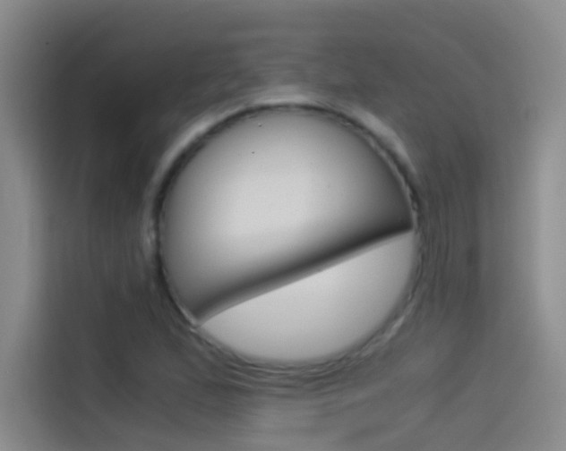 X0000114541167200910190925