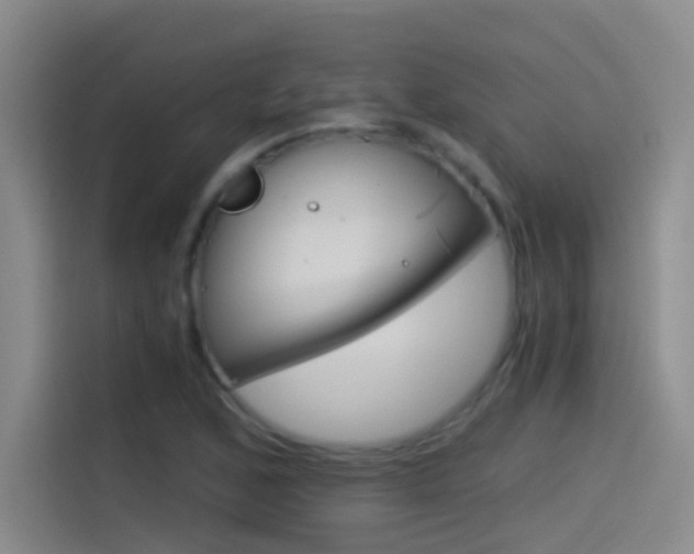X0000114541168200910190925