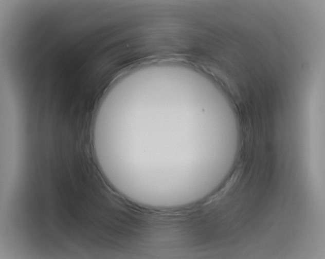 X0000114541169200910190925