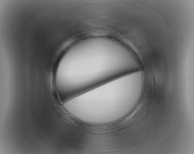 X0000114541171200910190925
