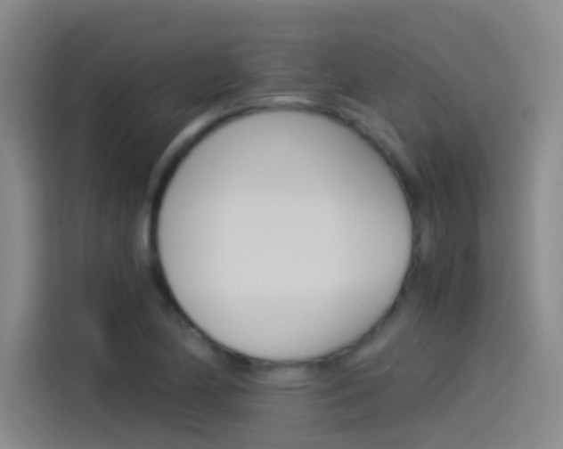 X0000114541174200910190925