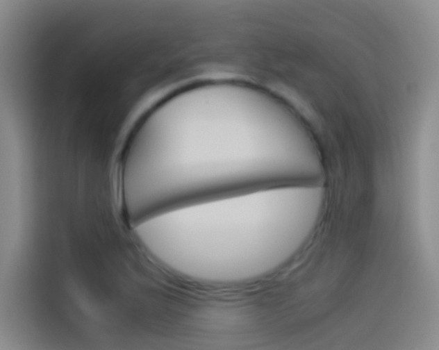 X0000114541175200910190925