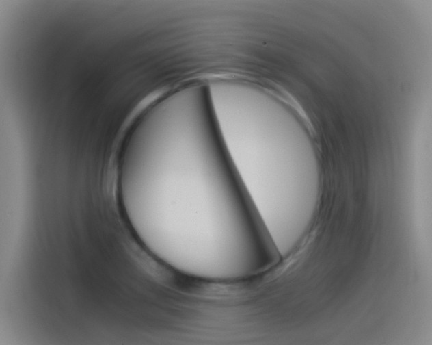 X0000114541179200910190925