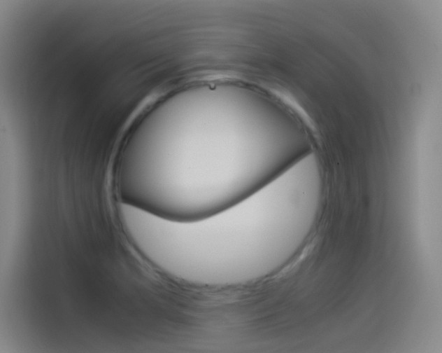 X0000114541181200910190925