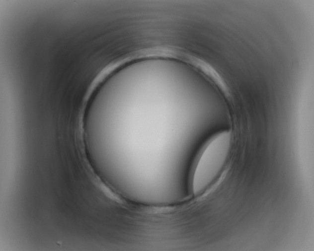 X0000114541184200910190925