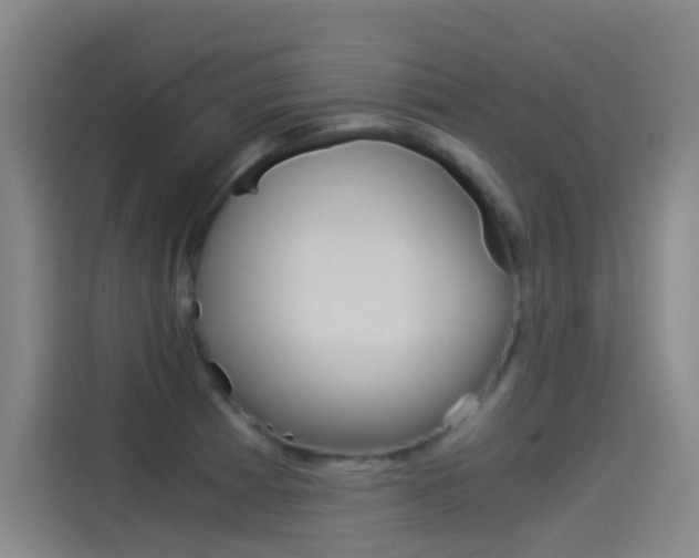 X0000114541185200910190925