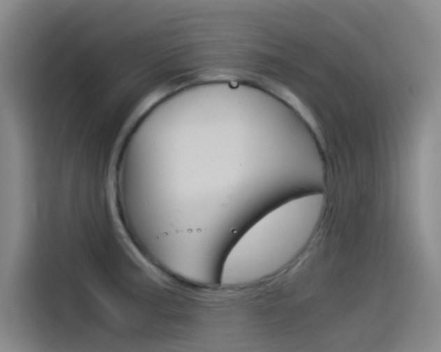 X0000114541187200910190925