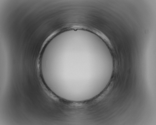 X0000114541190200910190925