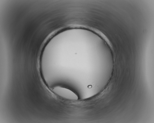 X0000114541191200910190925