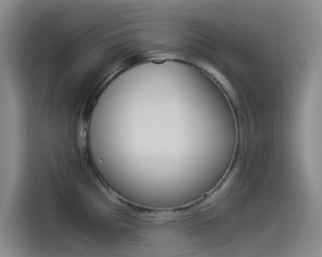 X0000114541193200910190925