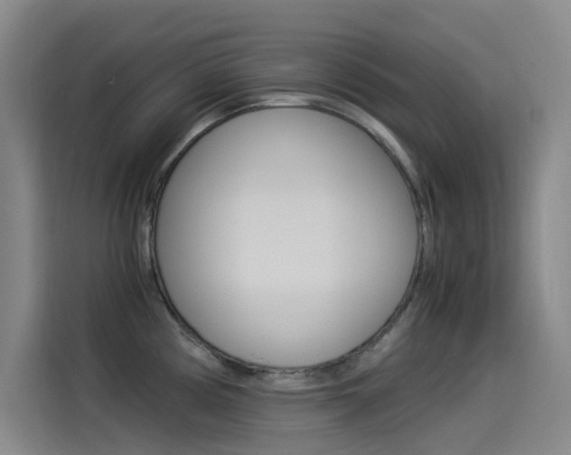 X0000114541194200910190925