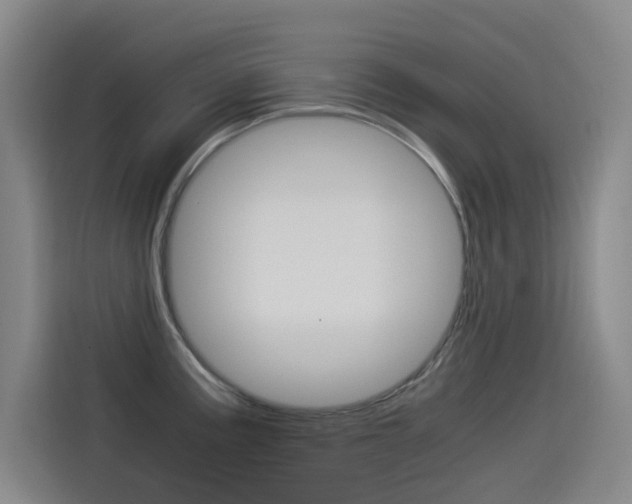 X0000114541195200910190925