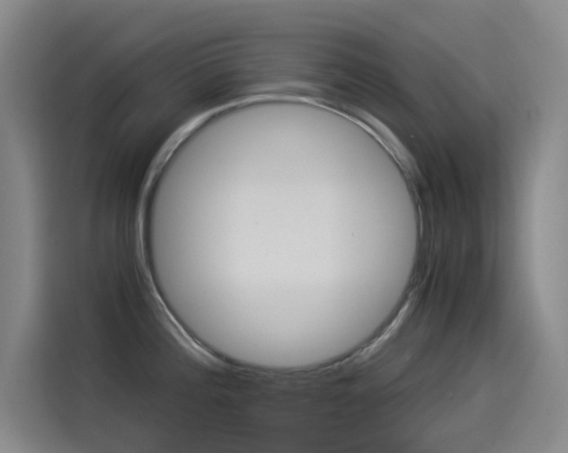 X0000114541196200910190925
