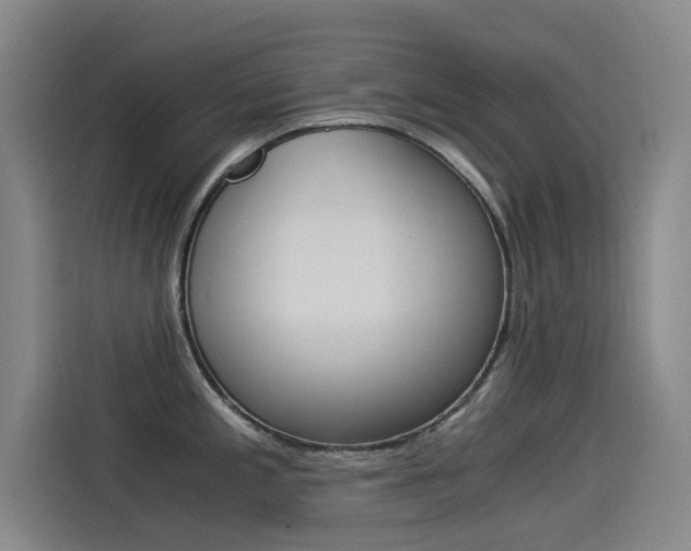 X0000114541197200910190925
