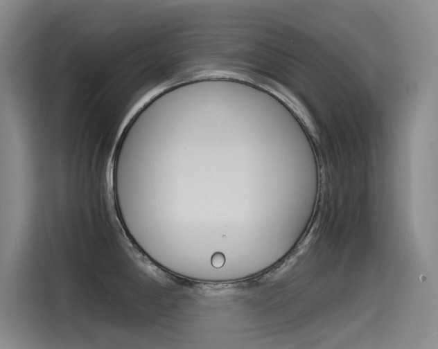 X0000114541198200910190925