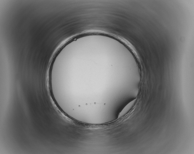 X0000114541199200910190925