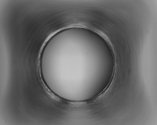 X0000114541200200910190925