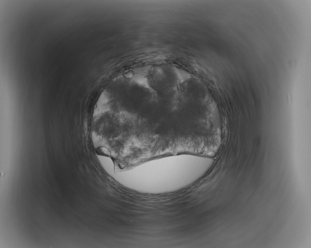 X0000114541203200910190924