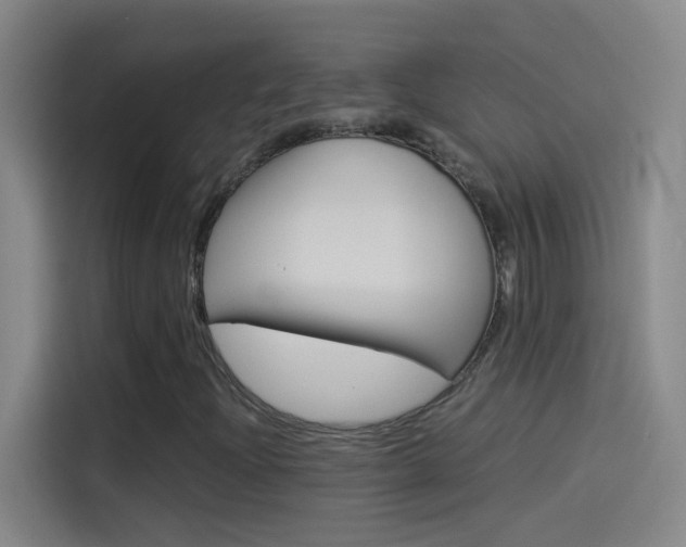 X0000114541204200910190924