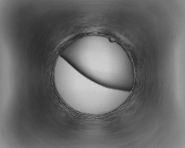X0000114541206200910190924