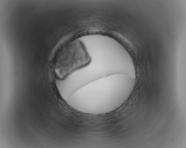 X0000114541207200910190924