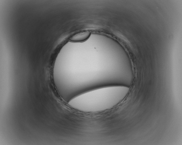 X0000114541208200910190924