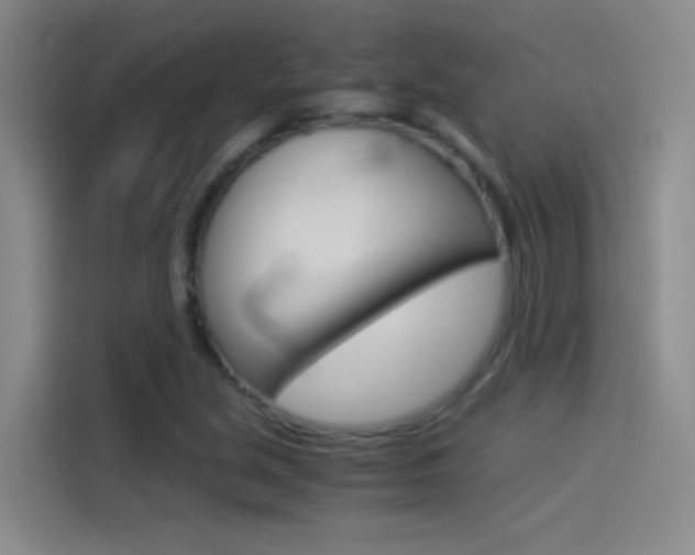 X0000114541213200910190924
