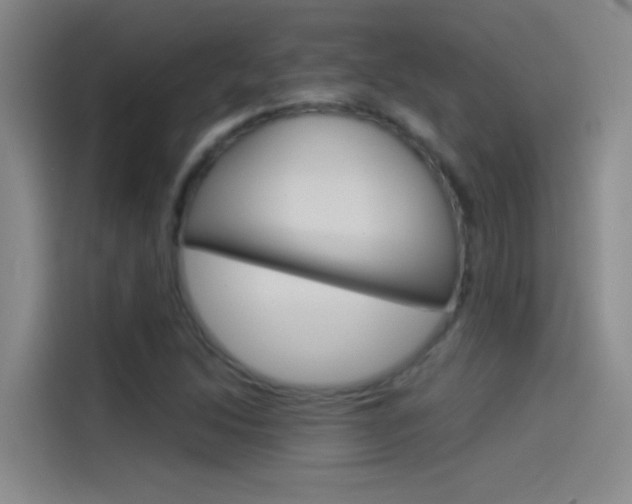 X0000114541214200910190924