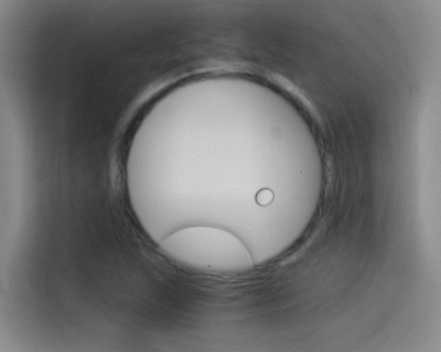 X0000114541215200910190924