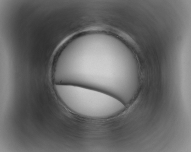 X0000114541216200910190924