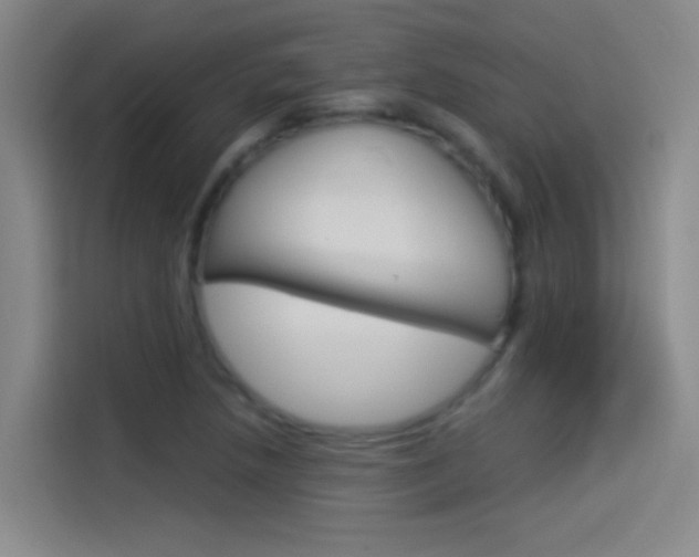 X0000114541218200910190924