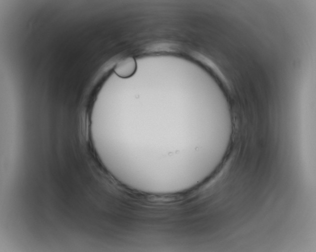 X0000114541219200910190924