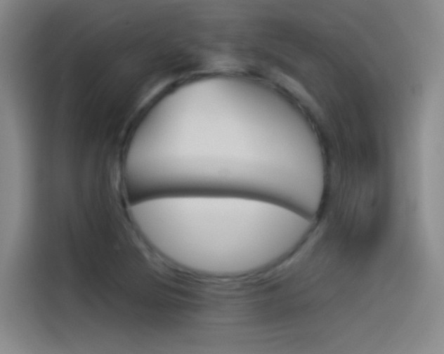 X0000114541220200910190924