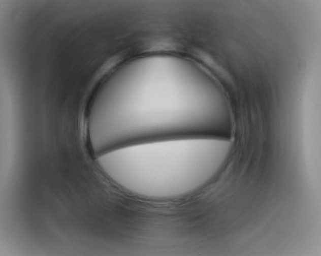 X0000114541221200910190924